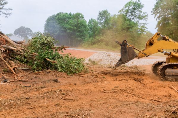 Ground Clearing in Ogden