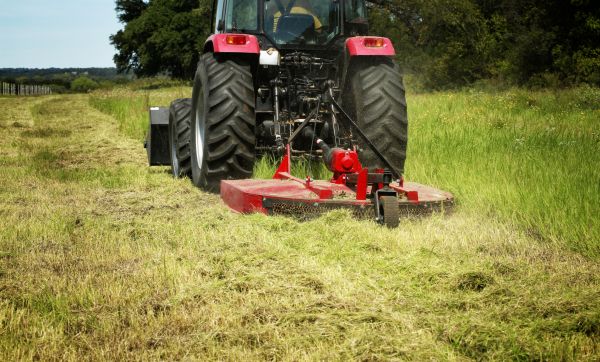Brush Clearing Service in Ogden