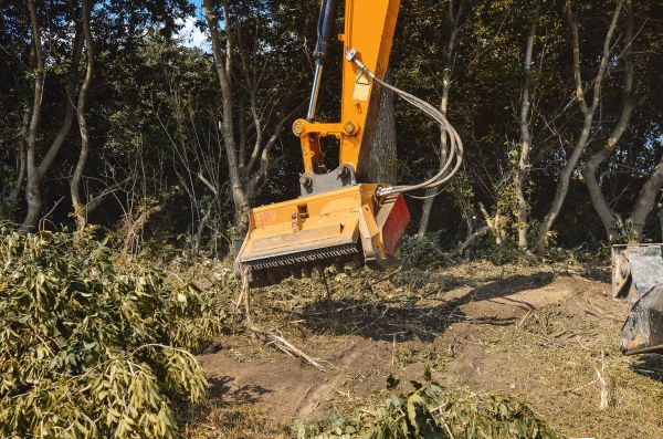 Brush Removal Service in Ogden
