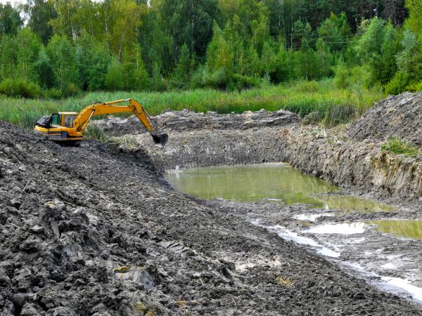 Cost of Lake Lot Clearing in Ogden