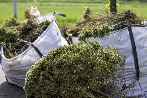 Cost of Bushes Clearing in Ogden