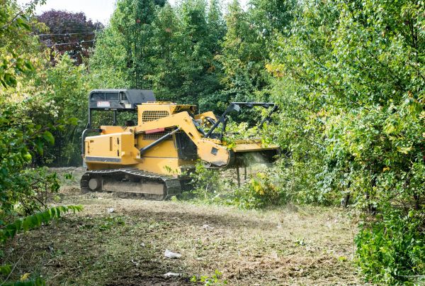 Cost of Pathway Clearing in Ogden