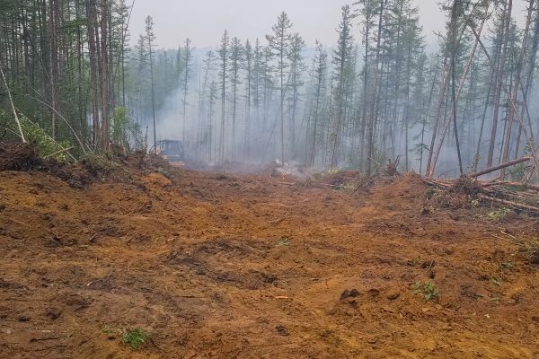 Cost of Hill Clearing in Ogden