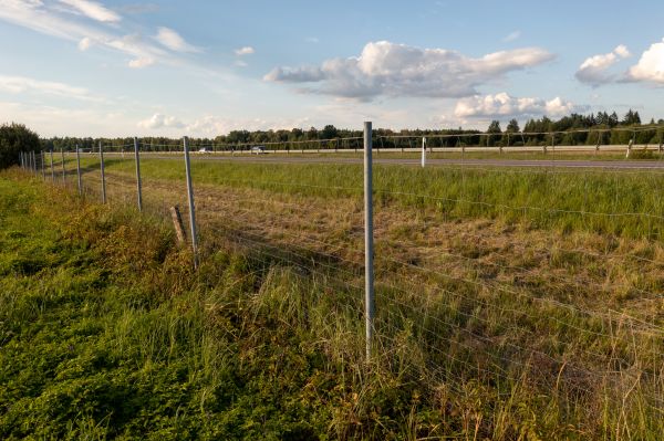 Cost of Property Line Clearing in Ogden