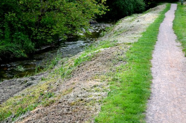 Cost of Trail Cutting in Ogden